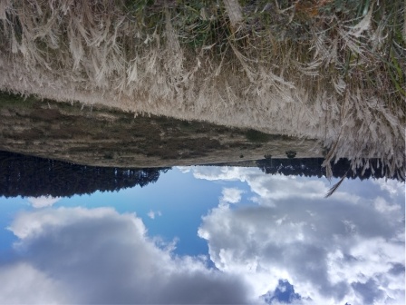 11:40　旧御射山遺跡