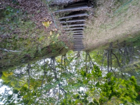 11:51　沢渡から車山肩への登り