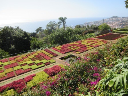 13:17　ボタニカルガーデン