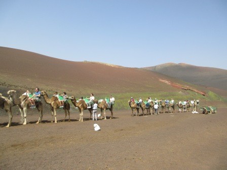 12:06　月の砂漠ではないが、観光ラクダ、結構な人出