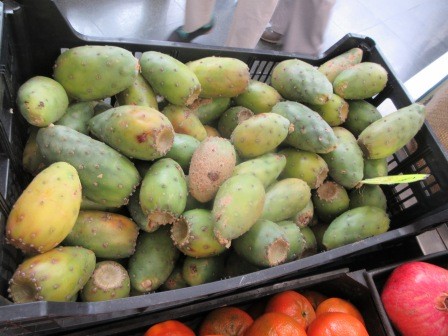 13:17　カクタスが売っていた