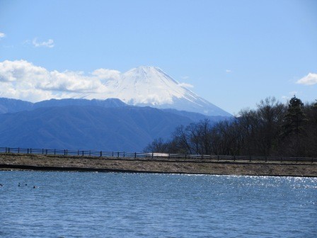 3月4日（水）　敷島総合公園　梅見　４　矢木羽湖