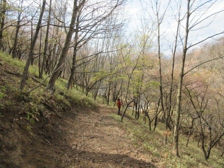 10:27　萌黄に霞む森を、マウンテンバイクコースのスタート地点へと降りて行く