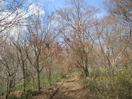 10:46　自由広場から東の平へ、青空が少し出た