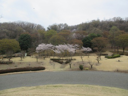 円墳頂部より見た園内