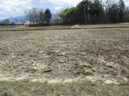 アフター糠撒き