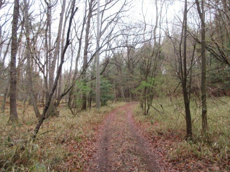 朝の散歩　オフロードを少し行ったが、道迷いになるとまずいと引返す
