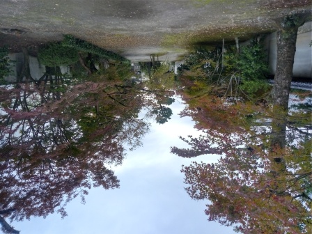 11月5日（水）12:33　寺町散歩、蘆山寺の横道を入ったところにある慶光天皇陵