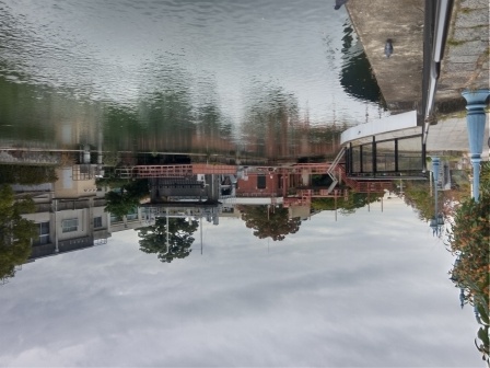 11月5日（水）14:13　三条河原町まで出て、家路に戻る、疎水の発電所