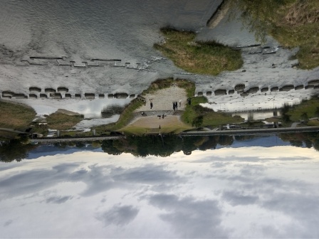 11月5日（水）15:22　加茂大橋より、左が鴨川、右が高野川